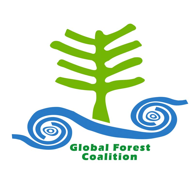 FC (Coalición Mundial por los Bosques - Global Forest Coalition)