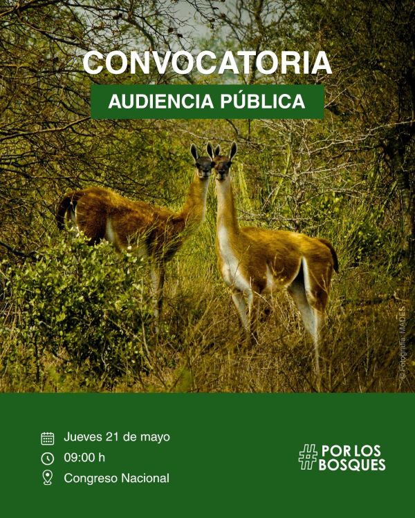 EMERGENCIA AMBIENTAL EN EL PARAGUAY