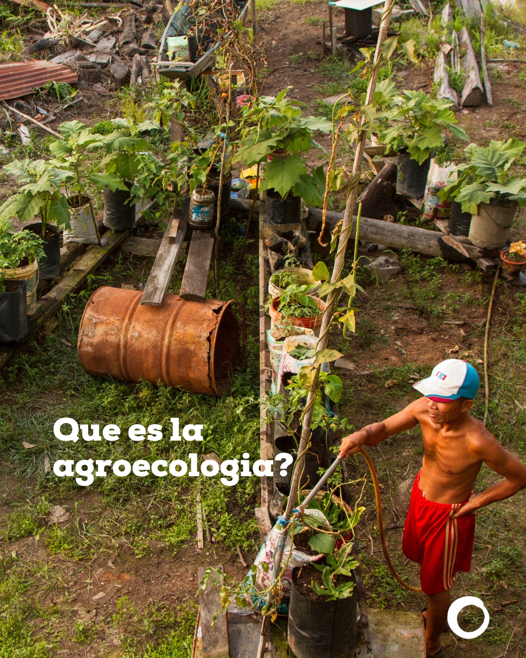Agroecología para la soberanía alimentaria