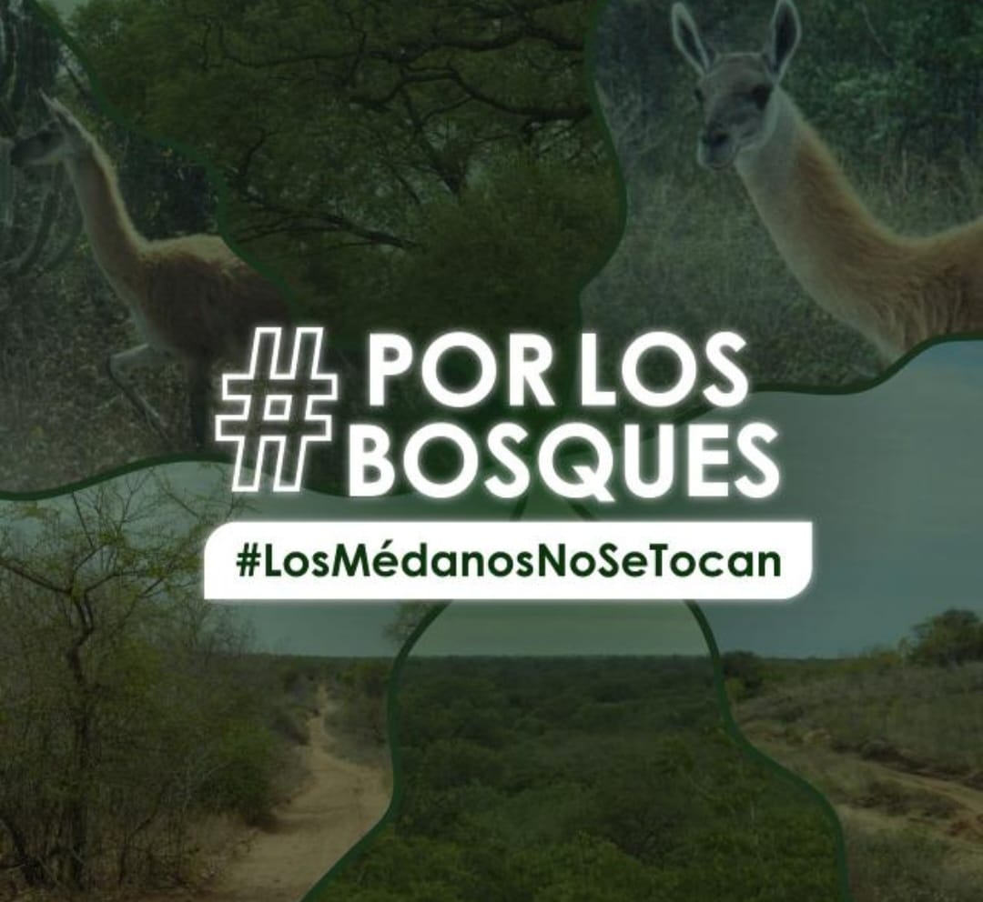 Por los Bosques