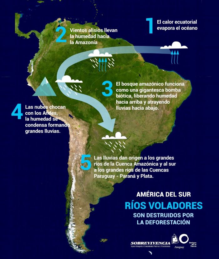 Agua dulce bajo la selva amazónica: una advertencia para el Paraguay